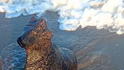  புதுச்சேரி கடற்கரையில் ஒதுங்கிய சாமி சிலைகள். 