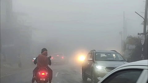 கொடைக்கானலில் பனிப் பொழிவு அதிகரிப்பு