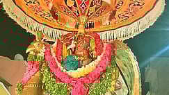 தங்க மயில் வாகனத்தில் குமரவிடங்கப்பெருமான்...