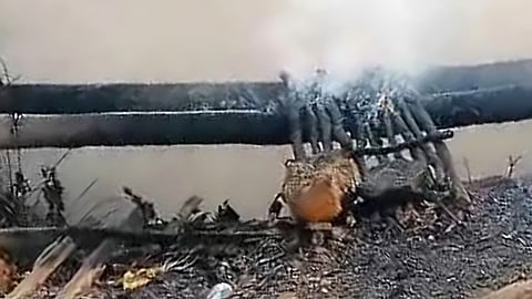 சட்டவிரோத நிலக்கரிச் சுரங்கத்தில் வெடிவிபத்து