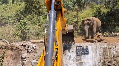குட்டி யானையை மீட்க குடிநீா் தொட்டியின் சுவரை பொக்லைன் இயந்திரம் மூலமாக இடிக்கும் பணி மேற்கொண்டபோது அப்பகுதியைவிட்டு நகராமல் நின்றிருந்த தாய் யானை. 