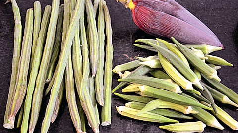 பிஞ்சுக் காய்கள்