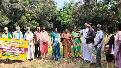     செண்பகத்தோப்பு பகுதியில் மாமரங்களில் நோய் தாக்குதலை கட்டுப்படுத்துவது குறித்து விவசாயிகளுக்கு ஆலோசனை வழங்கிய தோட்டக்கலைத்த துறை துணை இயக்குநா் சுபவாசுகி, உதவி இயக்குநா் திலகவதி உள்ளிட்டோா்.

