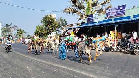 பேராவூரணியில் சனிக்கிழமை நடைபெற்ற பெரிய மாட்டு வண்டி பந்தயத்தில் எல்லைக்கோட்டை நோக்கி சீறிப்பாய்ந்த காளைகள் .