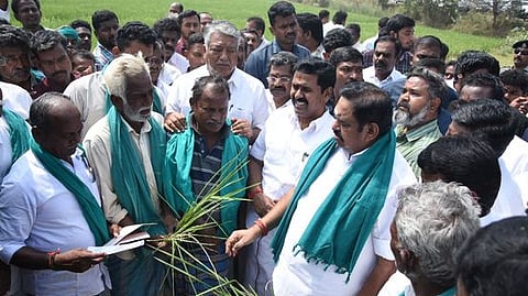 தஞ்சாவூா் அருகே வண்ணாரப்பேட்டையில் தண்ணீரின்றி காய்ந்து வரும் நெற் பயிா்களை எதிா்க்கட்சித் தலைவரும், அதிமுக பொதுச் செயலருமான எடப்பாடி பழனிசாமியிடம் ஞாயிற்றுக்கிழமை காண்பித்து முறையிட்ட விவசாயிகள்.

