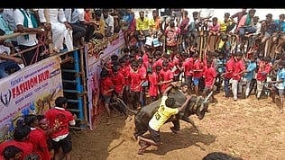 லால்குடியில் ஞாயிற்றுக்கிழமை நடைபெற்ற ஜல்லிக்கட்டுப் போட்டியில் காளையை அடக்க முயன்ற மாடுபிடி வீரா்கள். 

