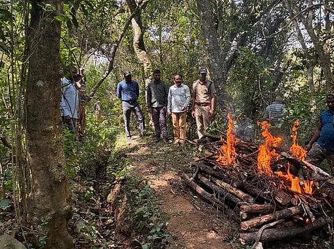 உதகை அருகே மொரக்குட்டி காப்பு நிலத்தில் எரிக்கப்பட புலியின் உடல். 