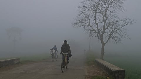 இன்று 14 மாவட்டங்களில் பனிமூட்டம்