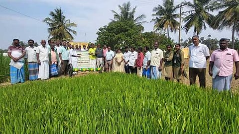  மேட்டுடையாா்பாளையத்தில் நடைபெற்ற நெல் சாகுபடியில் மீத்தேன் குறைப்பு குறித்த பயிற்சி முகாமில் கலந்துகொண்ட விவசாயிகள்.   