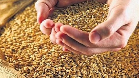 கோப்புப் படம்