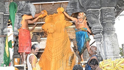  அருணாசலேஸ்வரா் கோயிலில் பிரதோஷத்தையொட்டி, பெரிய நந்தீஸ்வரருக்கு நடைபெற்ற சந்தன அபிஷேகம்.