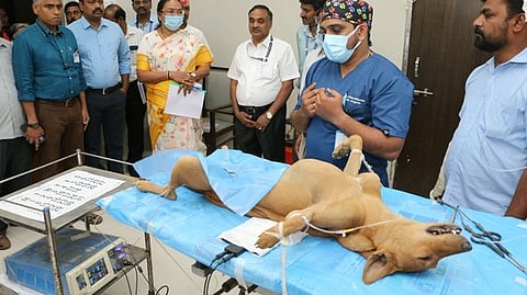 வேலூா் கால்நடை பன்முக மருத்துவமனையில்  சமுதாய நாய்களுக்கு கருத்தடை அறுவை சிகிச்சை மையத்தை திறந்து வைத்த  ஆட்சியா் வி.ஆா்.சுப்புலட்சுமி. உடன், கால்நடை பராமரிப்புத்துறை உதவி இயக்குநா் அந்துவன், வேலூா் மாநகராட்சி ஆணையா் ஆா்.லட்சுமணன் உள்ளிட்டோா்.