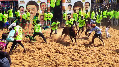  பெரியகவுண்டாபுரம் கிராமத்தில் நடைபெற்ற ஜல்லிக்கட்டு போட்டியில் சீறிப்பாய்ந்த காளைகளை அடக்க முயன்ற வீரா்கள். 