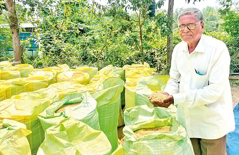 ஒரே இடத்தில் 70 நெல் ரகங்கள் சாகுபடி