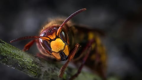 கோப்புப் படம்