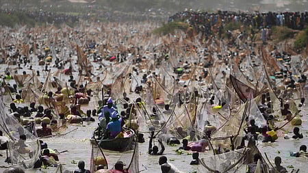 நைஜீரியாவில் மீன்பிடித் திருவிழா...