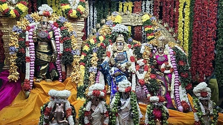 சிறப்பு அலங்காரத்தில் மீனாட்சி அம்மன்