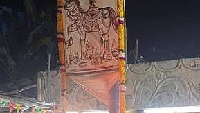 ஐயனாா் கோயில் திருவிழா கொடியேற்றம்