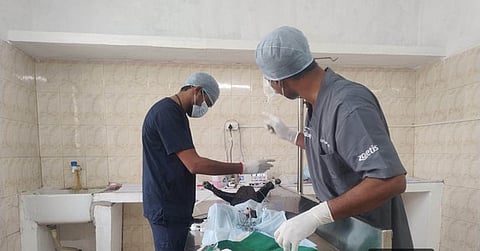 ‘4 கால்நடை மருந்தகங்களில்  தெரு நாய்களுக்கு கருத்தடை சிகிச்சைக்கு ஏற்பாடு’