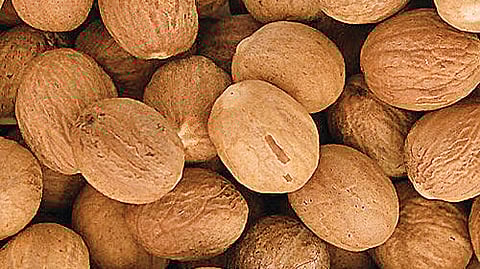 ஆயுள் காக்கும் ஆயுர்வேதம்: நிம்மதியாக உறங்க...