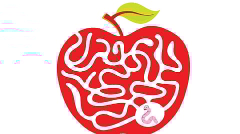 வழி  காட்டுங்கள்...