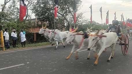   திருவாடானையில் சனிக்கிழமை நடைபெற்ற மாட்டுவண்டி பந்தயத்தில் பங்கேற்ற மாட்டு வண்டிகள்.

