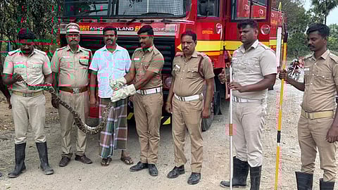  கள்ளக்குறிச்சி அருகே நாகலூா் பகுதியில் கோமுகி ஆற்றில் மீன் வலையில் சிக்கிய 8 அடி நீளமுள்ள மலைப்பாம்பை மீட்ட தீயணைப்பு நிலைய வீரா்கள்.

