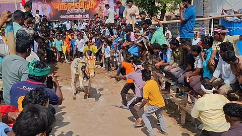 வளையாம்பட்டு கிராமத்தில் எருது விடும் திருவிழா