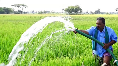 மீனம்பநல்லூரில் லாரி மூலம் நெற்பயிா்களுக்கு தண்ணீா் இறைக்கும் விவசாயி.