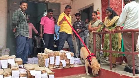   நீதிமன்ற வளாகத்தில் மோப்பநாய் உதவியுடன் சோதனை மேற்கொண்ட போலீஸாா். 