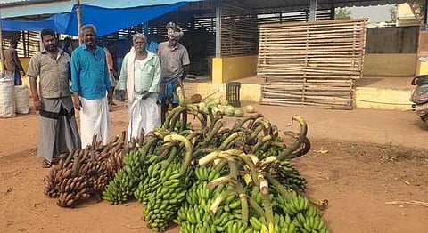 கந்தா்வகோட்டை ஏலக் கடையில் வியாழக்கிழமை குவிந்த வாழைத்தாா்கள். 