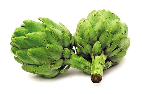 நீலகிரி மலையில் இதயத்துக்கு இதமான இயற்கை மூலிகைகள்