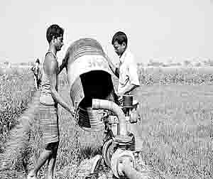 மின் வாரிய நடவடிக்கையால் தோட்டக்கலைப் பயிர் விவசாயிகள் பாதிப்பு