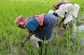 இதுவும் ஒரு போராட்டம்தான்.. காவிரிக்காக குரல் கொடுக்கும் திரையுலகினர் கவனத்துக்கு!