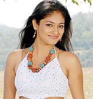 கமர்ஷியல் ஆசை இல்லை