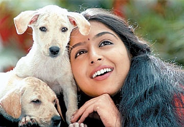 திரைக்கதிர்: நடிகையும் நானே; டிசைனரும் நானே!