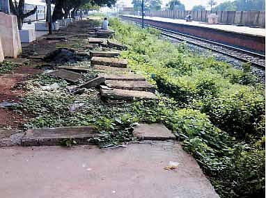 திருத்துறைப்பூண்டி - அகஸ்தியம்பள்ளி ரயில் பாதை மீண்டும் பயன்பாட்டுக்கு வருமா?