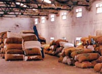 விழுப்புரம் மாவட்டத்தில் கனவாகிப்போன பருத்தி விளைச்சல்