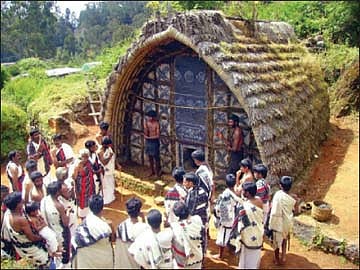 எரு​மை​க​ளுக்கு ஒருதிரு​விழா!