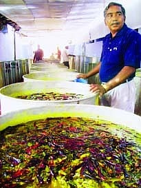 விழா: லட்சம் பேருக்கு விருந்து!