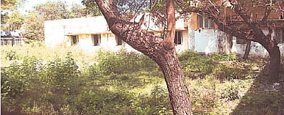 புதர் மண்டிக் கிடக்கும் பண்ருட்டி அரசு மருத்துவமனை