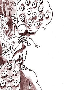 மயில் - சிறுவர் பாடல்