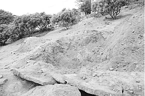 தமிழரின் கலாசாரத்தில் அதிகாரத்தின்  அடையாளமாக இருந்திருக்குமா?