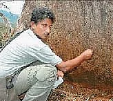 பறவைகளற்ற பாறை ஓவியங்கள்!