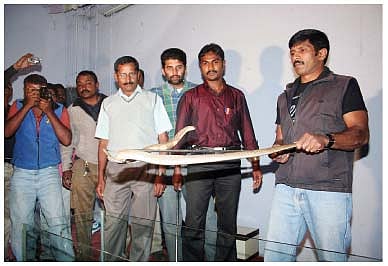 பாம்​பு​க​ளின் நண்பன்!