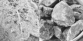 ஆயுள் காக்கும் ஆயுர்வேதம்: வாதகபம் நீங்க...
