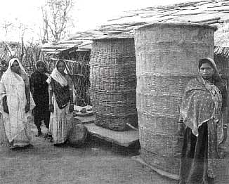 முன்னோடியாகத் திகழும் "ராஜஸ்தான்' விதைப் பண்ணைகள்: தமிழகத்திலும் அமைக்கலாமே!