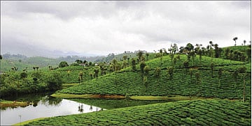 ஏழாவது சொர்க்கம்!