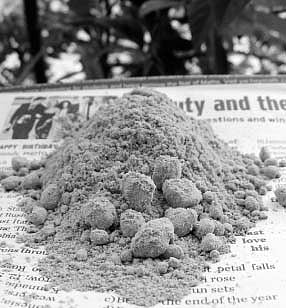 நம்பிக்கை இழந்தோரின் உயிரைப் பறிக்கும் சாணிப் பவுடர்!