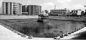 திருப்பதி கோவிந்தராஜ சுவாமி கோயில் குளத்தின் அவல நிலை